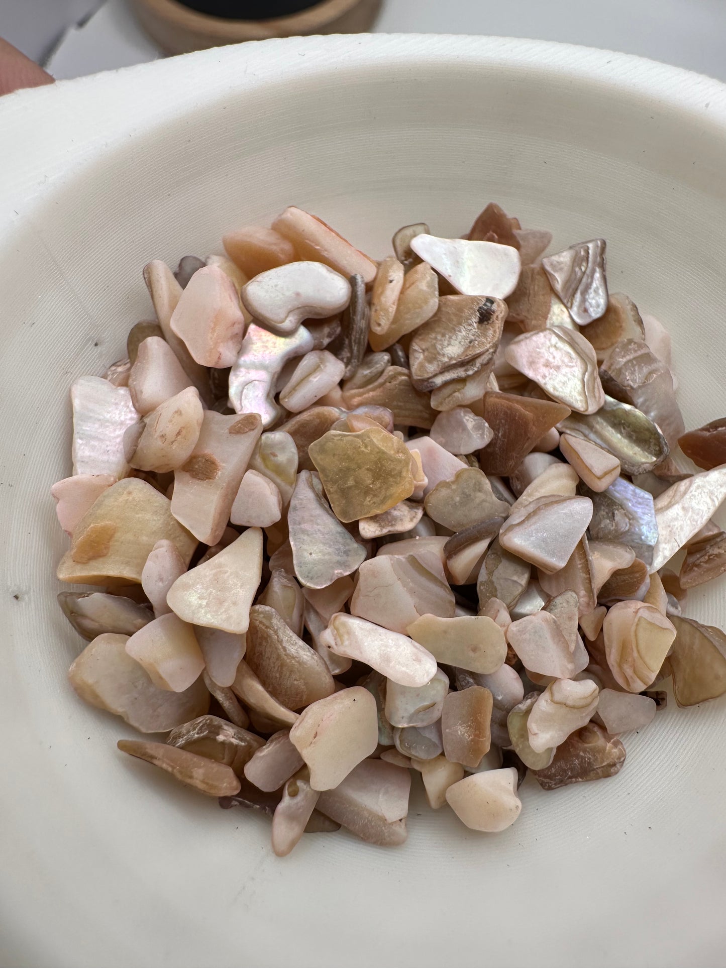 Rose pink shell chip mix, filler, crafting chips, natural shell mix glossed chips, resin fillers, candle making supplies 1oz by weight