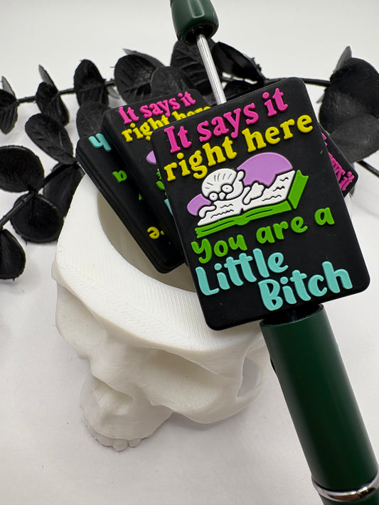 Adult Funny Silicone focal bead, It says it right there, bead for pens, double sided print 38.5mm, 1pc